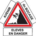 Ecoles en danger