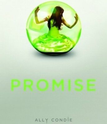 Promise T 1 d'Ally Condie