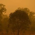 Incendies en Australie