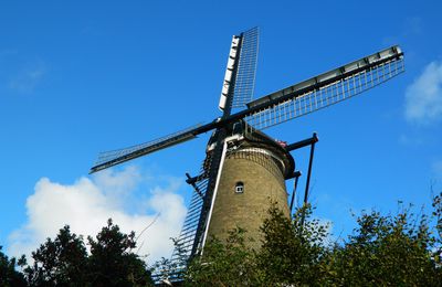 L'école de la vie...ailleurs ( Pays-Bas )