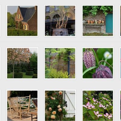 Mon jardin en ligne sur Instagram
