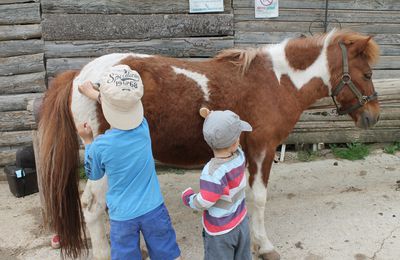 Sortie au Poney-Club