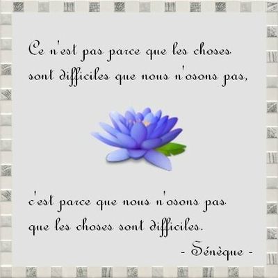 Citation...