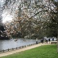 un 29 février 2016 au bois de boulogne et au parc de bagatelle. paris