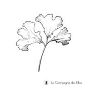 Tampon branche feuilles de l'arbre aux 40 écus Ginkgo Biloba