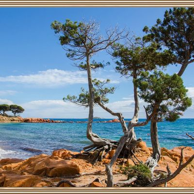 Vacances en Corse ( partie 3 )