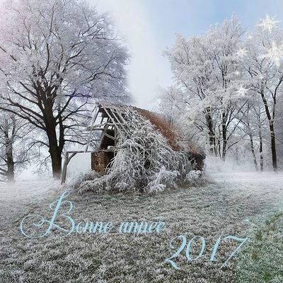Bonne Année 2017