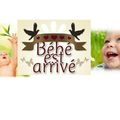 👨‍🌾Paysagiste Pays Basque: Les plantes dépolluantes pour la chambre de bébé.
