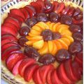 Tartes aux prunes & aux abricots