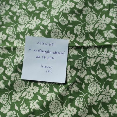 Tissu de créateur vert à fleurs blanches (RESERVE CHIKNANA)