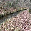 Roguidine ; randonnées en Limousin