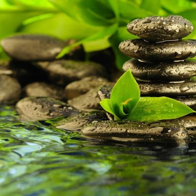 Le stress professionnel : comprendre et prévenir