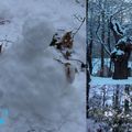 Promenade dans la neige