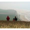 Cap Gris Nez (Pas de Calais) C'est un site en