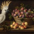 Louyse MOILLON, Composition aux abricots, au panier de prunes, au cacatoès et à la mésange bleue