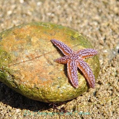 Only God can judge me