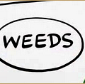 Weeds [8x 03 & 8x 04]