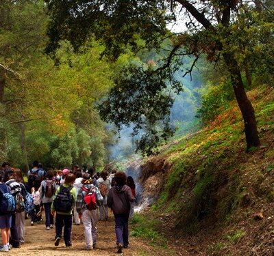 sortie du jeudi 17 avril 2008 5AB