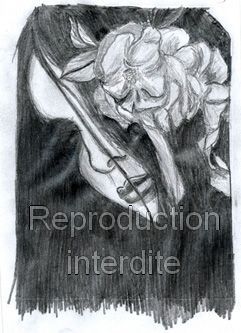 Dessin: Katie Jane Garside