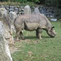 Une journée en famille au Zoo de Pont-Scorff 