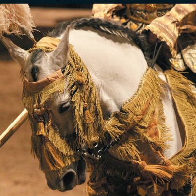 Spectacles du Musée Vivant du Cheval