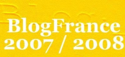 LE NOUVEAU BLOG POUR LE COURS DE FRANÇAIS ii ET PHONÉTIQUE 2007 / 2008