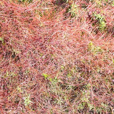 Au plein-emploi de soi