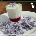 Violettes 2 : la panna cotta violette et framboise