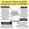 Les quatre toxines les plus dangereuses pour le cerveau