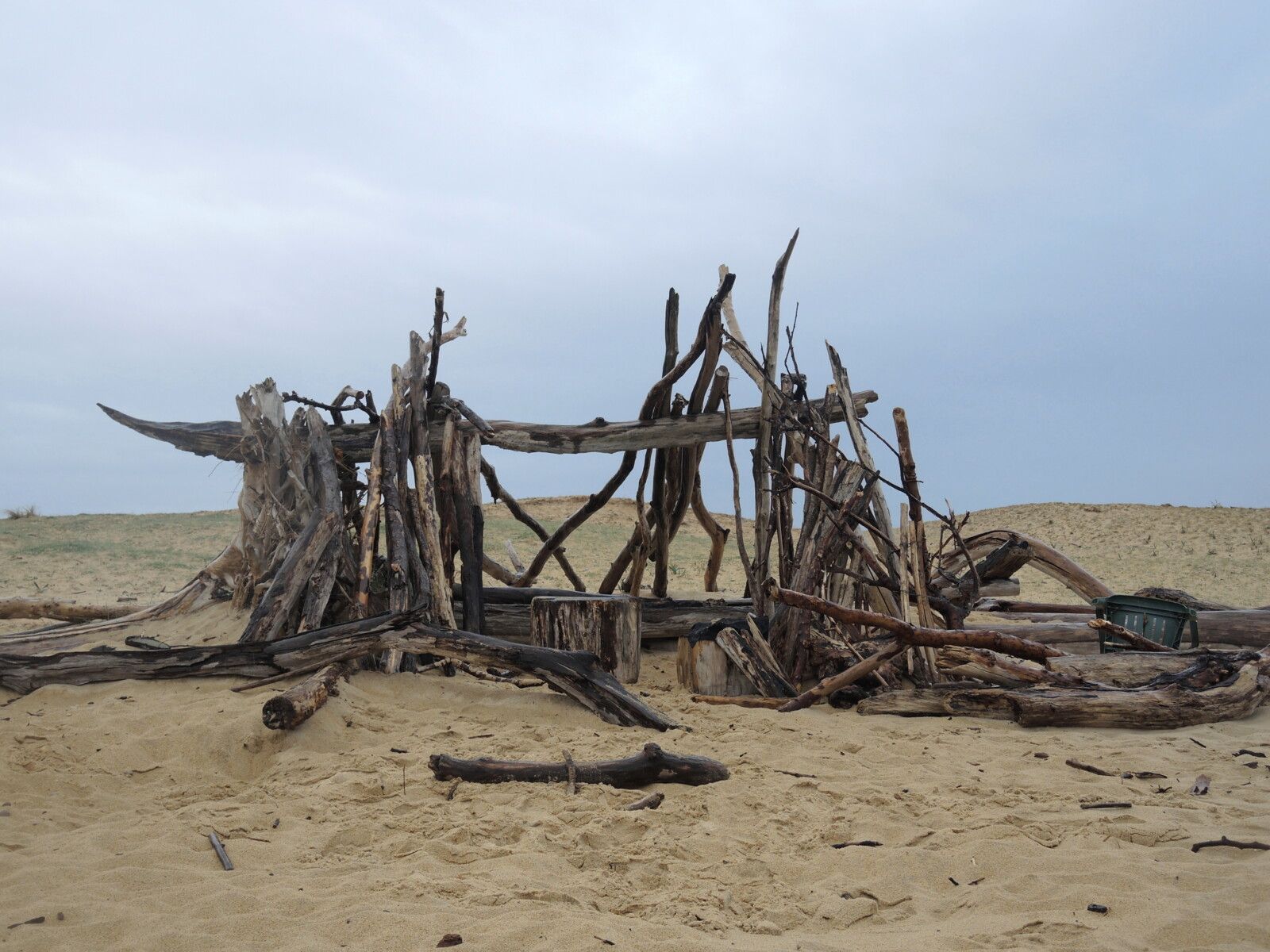 Tarnos, plage du métro, cabane en bois flotté,vue d'ensemble,  mars 2025 (40)