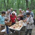 Sortie au bois de Tulle