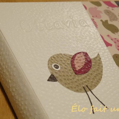 Album photos fratrie