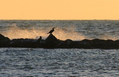 Belle balade sur la plage de Rochelongue à Agde le 4 janvier après-midi