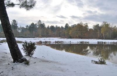 Journée blanche