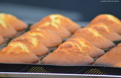 MADELEINES au CITRON 