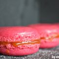 Recette de base pour des coques de macarons reussies