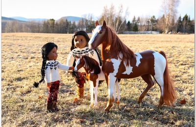 Pull pour Debbie, caresse au poulain, fond d'écran