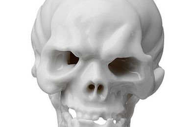 The Franz Ignatz Gunther's skull for the Porzellan Manufaktur Nymphenburg, Germany