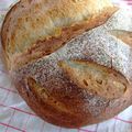 Encore du pain, boule au levain