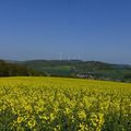 Kusel, Reuschbach, Potzberg