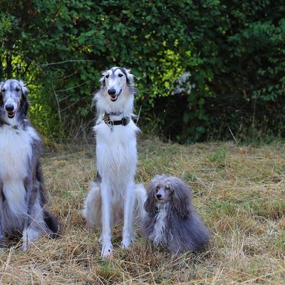 Changement de plateforme