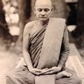 Il n'y a pas d'Ajahn Chah