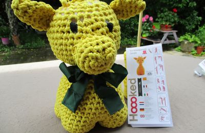 Kit Maxigurumi Girafe