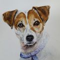 Portrait de chien à l'aquarelle !