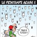 PRINTEMPS ARABE : La grosse farce