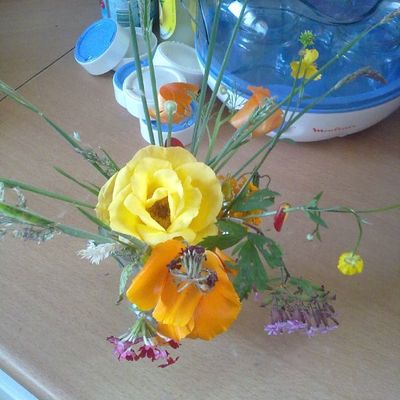 une fleur...pour ton coeur!