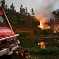 Feu de forêt au Portugal