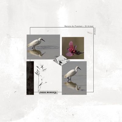 June challenge #4  - sketch @Oscraps