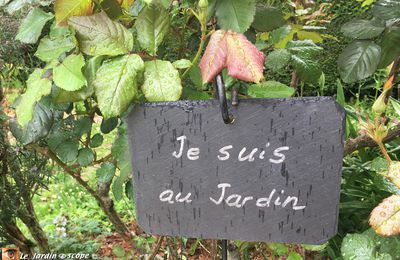 Coups de zoom sur les floraisons du mois d'avril dans mon jardin