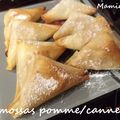 Samossas pomme/cannelle